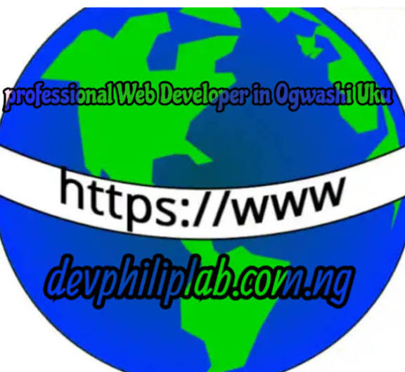 Leading professional Web Developers and Agencies in Ogwashi Uku