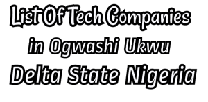 Tech companies in ogwashi uku Delta State Nigeria